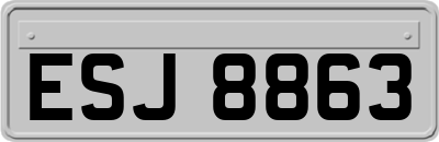 ESJ8863