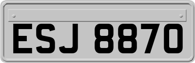 ESJ8870