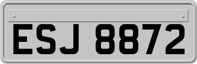 ESJ8872
