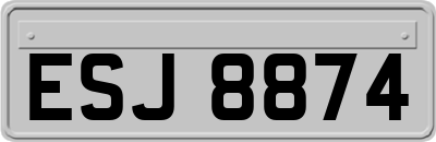 ESJ8874