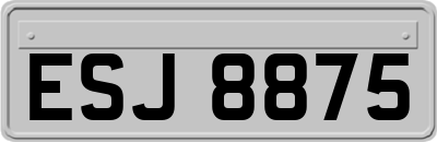 ESJ8875