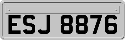 ESJ8876