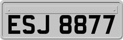 ESJ8877