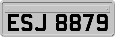 ESJ8879