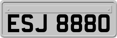 ESJ8880