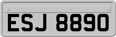 ESJ8890