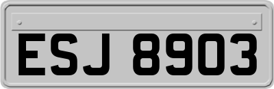 ESJ8903