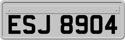 ESJ8904