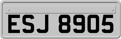 ESJ8905