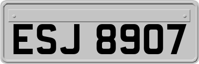 ESJ8907