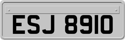 ESJ8910