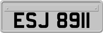 ESJ8911