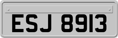 ESJ8913
