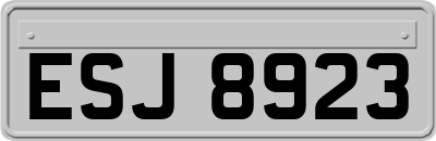 ESJ8923
