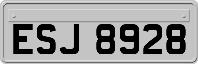 ESJ8928