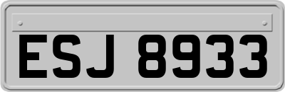 ESJ8933