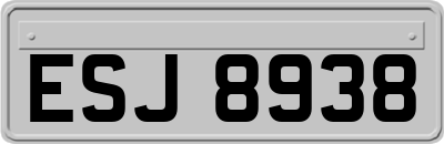 ESJ8938