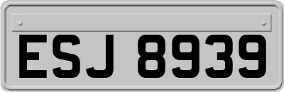 ESJ8939