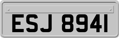 ESJ8941