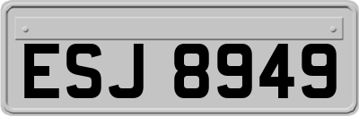 ESJ8949