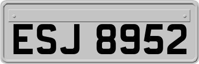 ESJ8952