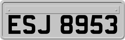 ESJ8953