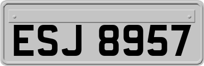 ESJ8957