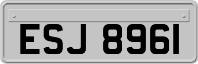 ESJ8961