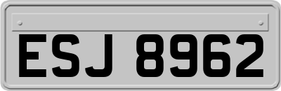 ESJ8962