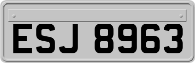 ESJ8963