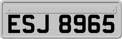 ESJ8965