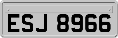 ESJ8966
