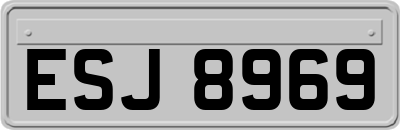 ESJ8969