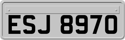 ESJ8970