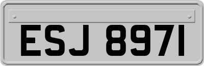 ESJ8971