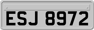 ESJ8972