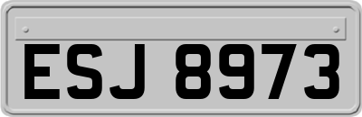 ESJ8973