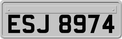 ESJ8974