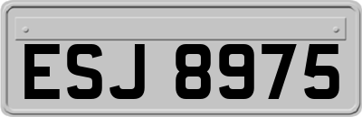 ESJ8975