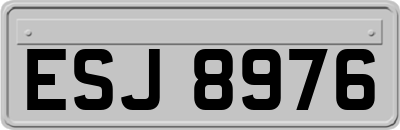 ESJ8976