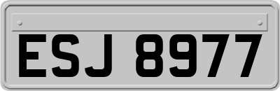 ESJ8977