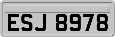 ESJ8978