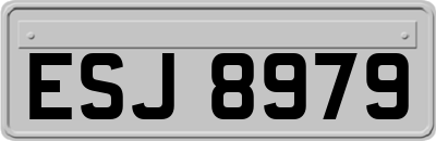 ESJ8979