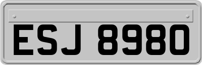 ESJ8980