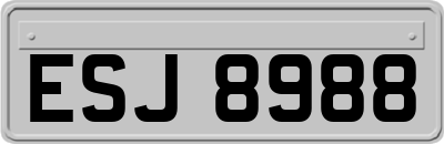 ESJ8988