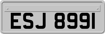 ESJ8991