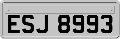 ESJ8993