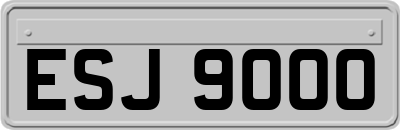 ESJ9000