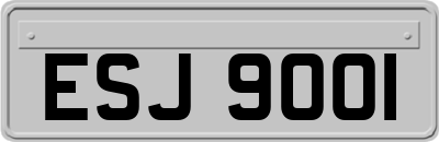 ESJ9001