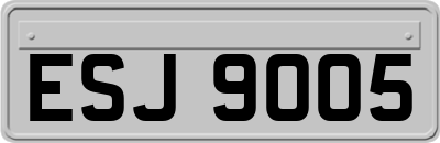 ESJ9005